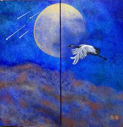 Envolée nocturne