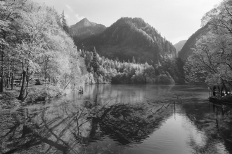 Paysage argentique