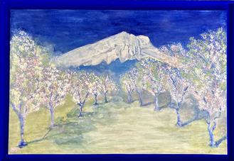  Les amandiers de Provence